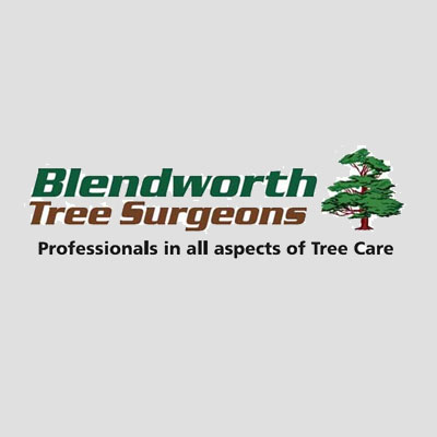 Tree Surgeons